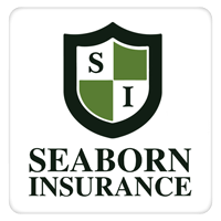 Seaborn Insurance